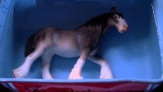 What Happens When You Put A Schleich Horse In The Freezer  Part 1 [upl. by Dwight]