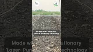 Drip Irrigation  टपक सिंचाई  ठिबक सिंचन  Irrigation Harmonics  Drip Irrigation system [upl. by Aerdna]