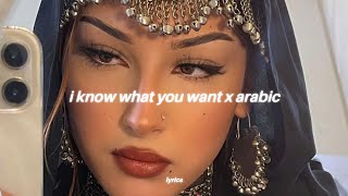 i know what you want x arabic ريمكس  شيرين  صبرى قليل tiktok song [upl. by Faline]