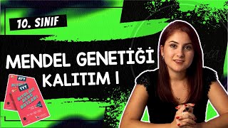 8 MENDEL GENETİĞİ  KALITIM 1  10 SINIF  TYT BİYOLOJİ DERS NOTLARI  2024 [upl. by Egidio]