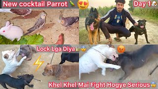 Khel Khel Mai Coco Or Jora Ka Serious Panga Hogya😨Lock B Lga Diya😡Tarzan Ka First Day🐶New Cocktail🦜 [upl. by Alice]