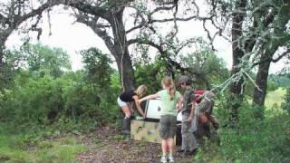 Wild Quail Release 070310 [upl. by Ardnaiek]