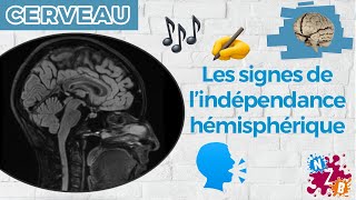 🧠 Quand les hémisphères cérébraux ne se parlent plus  Le corps calleux  Cerveau2 [upl. by Casar]