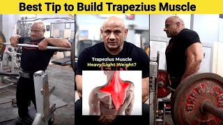 Best Tip to Build Trapezius Muscle  Best exercises for Trapezius Muscle youtubevideos [upl. by Basil157]