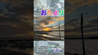 おたより写真📸 今日は明光の乗務員さんならお馴染みの場所の近くからのきれいな夕日の写真をお届けします🌇夕日 夕焼け空 [upl. by Buchbinder]