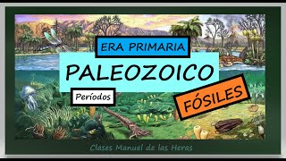 EL PALEOZOICO Era Primaria Períodos Algunos FÓSILES Importantes Biología Educación Secundaria [upl. by Yerbua]