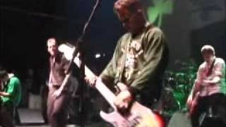 Dropkick Murphys  Alcohol  Live [upl. by Eenwat]