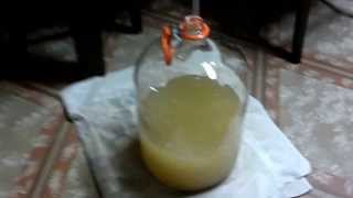 Home Made Scuppernong Wild Grape Wine HOW TO [upl. by Kristian]