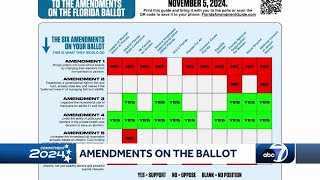 A voter guide to Floridas 2024 amendments [upl. by Nairrot]