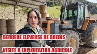 BERGERE ELEVEUSE DE BREBIS  VISITE D EXPLOITATION AGRICOLE [upl. by Eddana]