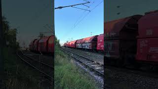 Stadler Eurodual 159 2435 auf Durchfahrt in Kornwestheim auf der Schusterbahn bahn train [upl. by Ernest209]