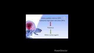 Basal Ganglia  Pathway Direct [upl. by Irroc]