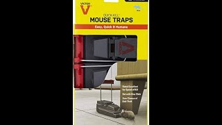 Best mouse trap I’ve found MouseTrap RatTrap Rodent trap [upl. by Andrey]