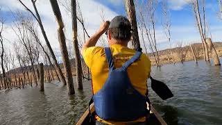 Tree Slalom  Canoe Practice [upl. by Minardi]