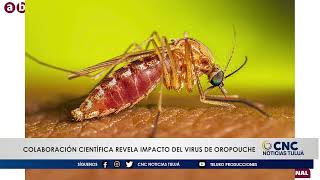 Autoridades de Salud del Valle del Cauca descartan presencia del virus Oropuche en la región [upl. by Noyr354]