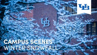 Winter Snowfall  University at Buffalo [upl. by Ribble142]