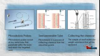 MICRODIALYSIS [upl. by Lambert]