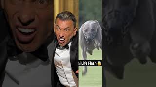 Sebastian Maniscalco  Greyhound Is It Me [upl. by Nosittam421]