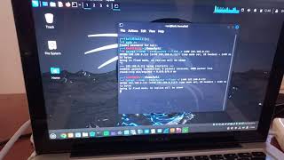 Prueba de Pentesting utilizando Hping3 en Kali Linux [upl. by Eelhsa]