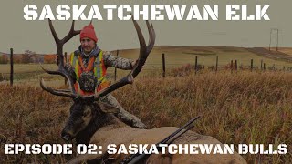 Giant Saskatchewan Elk Hunting Saskatchewan Bulls [upl. by Llimaj49]