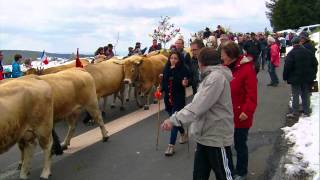 Transhumance Aubrac 2 2013 [upl. by Lednik826]