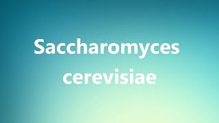 Saccharomyces cerevisiae  Medical Definition and Pronunciation [upl. by Morris]