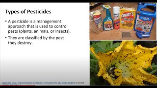 Intro To Agriculture Pesticides And Herbicides [upl. by Nommad]