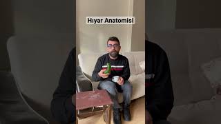 Kız İsteyen Filozof  Hıyar Anatomisi [upl. by Holmen]