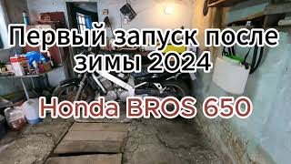 Первый запуск Honda Bros 650 после зимы 2024 год [upl. by Assirrak2]