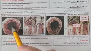 labsorption intestinale 3AC الامتصاص المعوي [upl. by Ttebroc575]