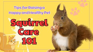 Raising a Pet Squirrel A Delightful Adventure [upl. by Aznola]