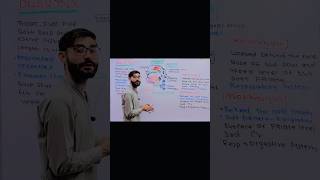 Pharynx Laryngopharynx Parts of Pharynx  ❤️😊anatomy viralvideo neet science biology [upl. by Juni]