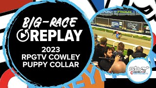 2023 RPGTV Cowley Puppy Collar  Long Fellow  Greyhound Replays  2023 Big Finals [upl. by Neeluqcaj]