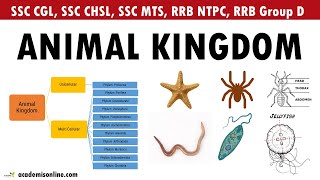 Animal Kingdom  Biology  Sure question for all SSC amp RRB exams [upl. by Yrohcaz]