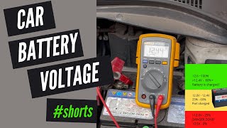 What Voltage Should Car Battery Be [upl. by Dorkus800]