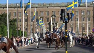 sveriges nationaldag 2017 [upl. by Etolas]