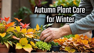 MustKnow Autumn Houseplant Care Tips to Prep for Winter [upl. by Natloz]