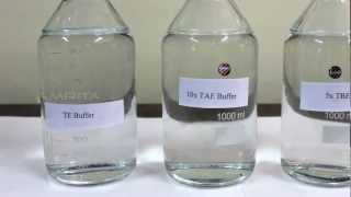 Preparation of Buffer stocks TBE TE and TAE  Amrita University [upl. by Sehcaep]