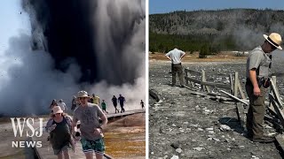 Watch Tourists Run From Hydrothermal Explosion in Yellowstone  WSJ News [upl. by Clevey]