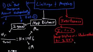 linkage and mapping conceptual and equations [upl. by Atalee]