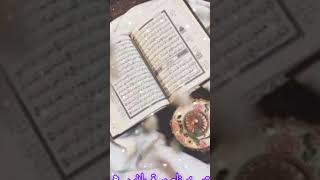 Fazilat e Quran goldenwords urdu islamicstatus youtube [upl. by Candi]