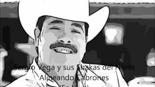 Sergio Vega y sus Shakas del Norte Alineando Cabrones Arturo Beltran [upl. by Aihsilef]