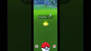 I Caught Sewaddle in Pokemon GO Shorts PokemonGO CatchEmAll [upl. by Annahpos]