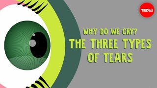 Why do we cry The three types of tears  Alex Gendler [upl. by Eyaj]