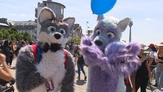 Japantag 2018 [upl. by Adnat]