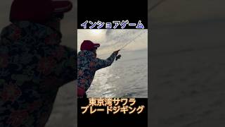 【東京湾サワラ】ブレードジギングでヒットしたのは… fishing サワラ ブレードジギング [upl. by Naleek]