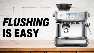 How to Flush The Breville Barista Pro [upl. by Anavi]