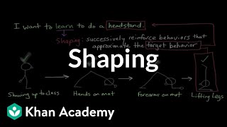 Operant conditioning Shaping  Behavior  MCAT  Khan Academy [upl. by Ltney837]