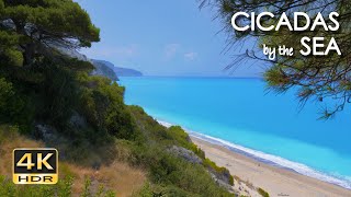 4K HDR Cicadas by the Sea  Ocean Waves amp Cicada Sounds  Greek Island Beach Ambiance  Relax Sleep [upl. by Gerhardine]