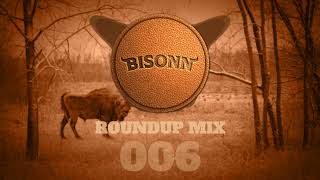 Bisonn Roundup Mix 006 Bass House  Tech House [upl. by Eeloj119]